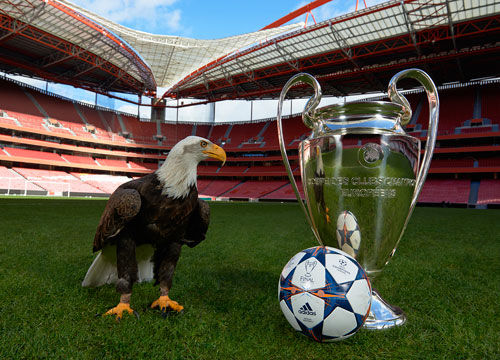 在经济与视 在经济与视